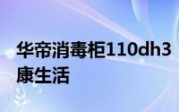 华帝消毒柜110dh3：高效消毒，守护您的健康生活