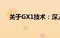关于GX1技术：深入解析其特性及应用