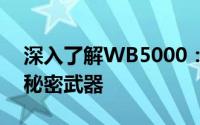 深入了解WB5000：新一代高效工作平台的秘密武器