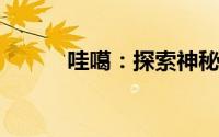 哇噶：探索神秘现象的背后真相