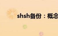 shsh备份：概念、方法与重要性
