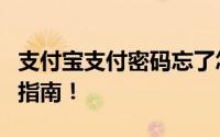 支付宝支付密码忘了怎么办？快速找回密码的指南！