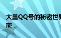 大量QQ号的秘密世界：揭秘背后的故事与秘密