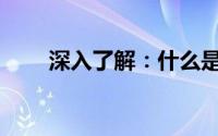 深入了解：什么是dat文件及其用途