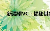 新渴望VC：揭秘其独特优势与应用领域