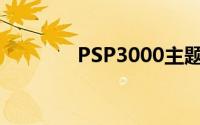 PSP3000主题存放位置详解