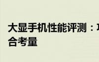 大显手机性能评测：功能、设计与性价比的综合考量