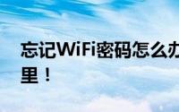 忘记WiFi密码怎么办？轻松解决的方法在这里！