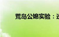荒岛公媳实验：逆境中的人性考验