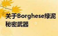 关于Borghese绿泥：深度清洁与肌肤焕新的秘密武器
