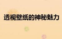 透视壁纸的神秘魅力：探寻时尚家居新风尚