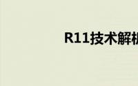 R11技术解析与应用探讨