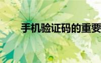 手机验证码的重要性和使用注意事项