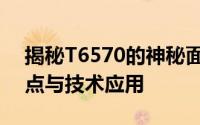 揭秘T6570的神秘面纱：全方位解析性能特点与技术应用