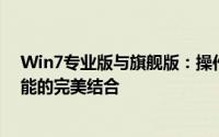 Win7专业版与旗舰版：操作系统中的双重选择，性能与功能的完美结合