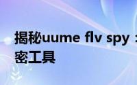 揭秘uume flv spy：深入了解网络监控的秘密工具