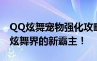 QQ炫舞宠物强化攻略：提升宠物能力，成为炫舞界的新霸主！