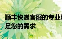 顺丰快递客服的专业服务：解决您的问题，满足您的需求