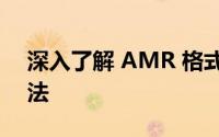 深入了解 AMR 格式：特点、应用与转换方法