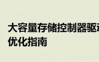 大容量存储控制器驱动：核心技术解析与性能优化指南