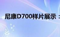 尼康D700样片展示：专业摄影的绝佳选择