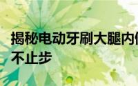 揭秘电动牙刷大腿内侧的独特体验，令人惊艳不止步