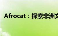 Afrocat：探索非洲文化与技术的独特交融