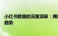 小红书数据的深度洞察：揭秘社交平台上的用户行为与市场趋势