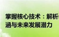 掌握核心技术：解析shoujidaquan的深层内涵与未来发展潜力