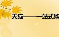 天猫——一站式购物的电子商务巨头