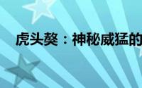 虎头獒：神秘威猛的犬种，引领犬界风潮