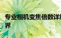 专业相机变焦倍数详解：不同倍数下的摄影世界