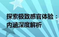 探索极致感官体验：Sensation XL的魅力与内涵深度解析