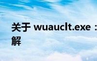 关于 wuauclt.exe：Windows 更新组件详解