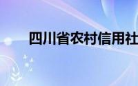 四川省农村信用社网上银行服务指南