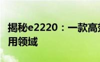 揭秘e2220：一款高效能硬件的性能解析与应用领域