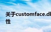 关于customface.db：数据文件的奥秘和特性