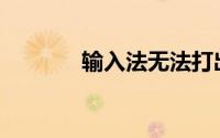 输入法无法打出汉字怎么办？