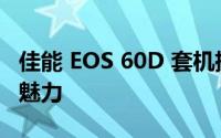 佳能 EOS 60D 套机摄影体验：专业级摄影的魅力