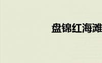 盘锦红海滩的绚丽画卷