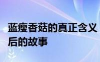 蓝瘦香菇的真正含义：深度解析网络流行语背后的故事