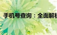 手机号查询：全面解析查询方法与注意事项