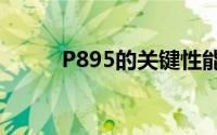 P895的关键性能解析与应用探讨