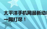 太平洋手机网最新动态：新品发布、优惠活动一网打尽！