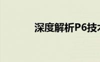 深度解析P6技术及其应用领域