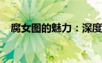 腐女图的魅力：深度探索二次元耽美文化