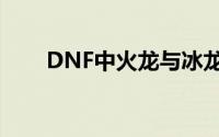 DNF中火龙与冰龙：哪个更适合你？