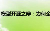 模型开源之辩：为何企业仍选择开放源代码？