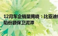 12月车企销量揭晓：比亚迪蝉联月销50万佳绩，合资车企深陷份额保卫泥潭