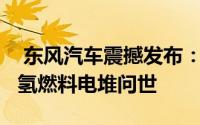  东风汽车震撼发布：400kW高性能自主研发氢燃料电堆问世